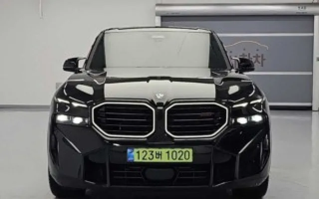 인천개인회생중고차리스 XM (G09) 레이블 매물 사진 19 - 2025/12 7,690km
